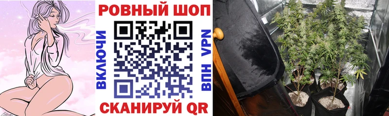 МЕТАДОН Муром