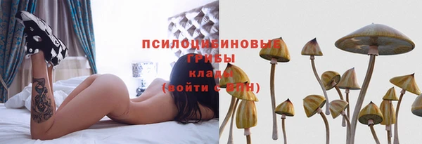 прущие крисы Волоколамск