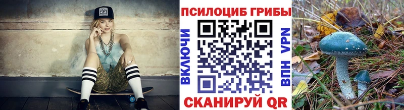 даркнет клад  Муром  Псилоцибиновые грибы мицелий  как найти наркотики 