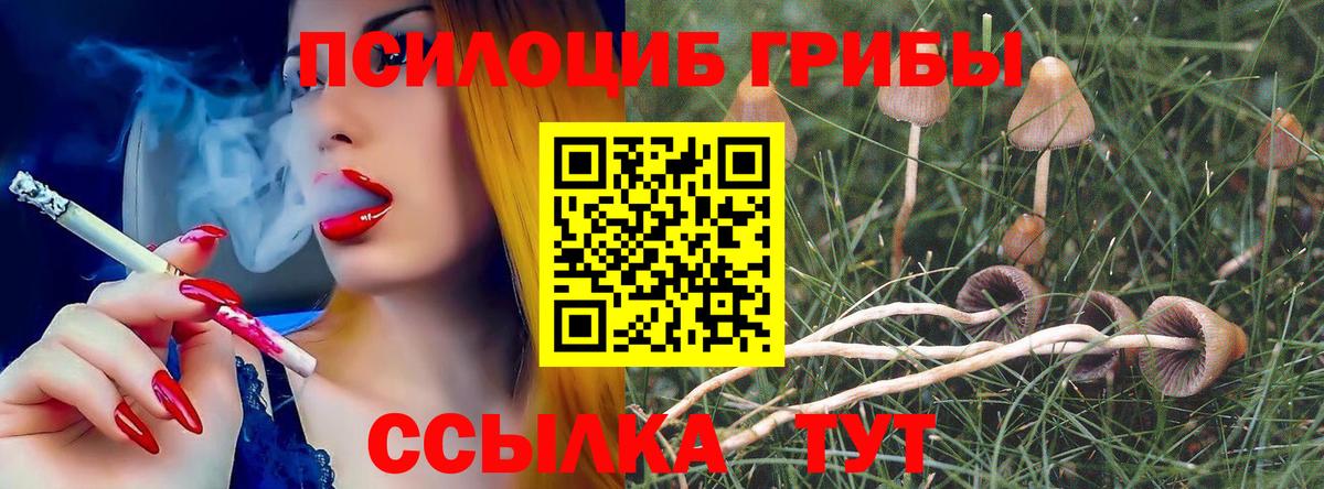 Галлюциногенные грибы мухоморы Муром